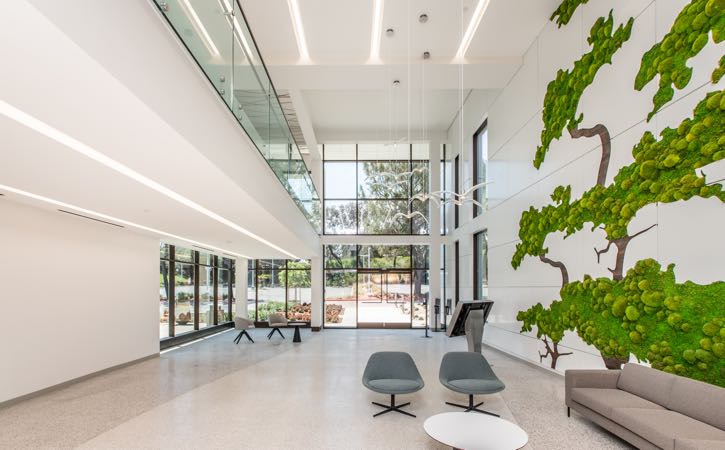 Aura Biomed Realty 6
